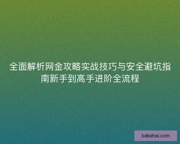 全面解析网金攻略实战技巧与安全避坑指南新手到高手进阶全流程