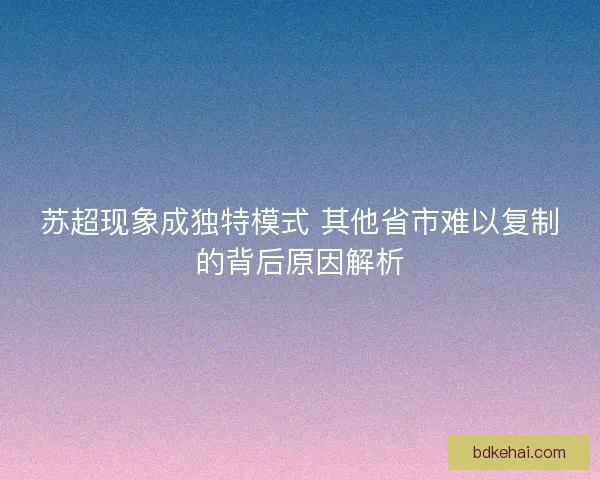 苏超现象成独特模式 其他省市难以复制的背后原因解析