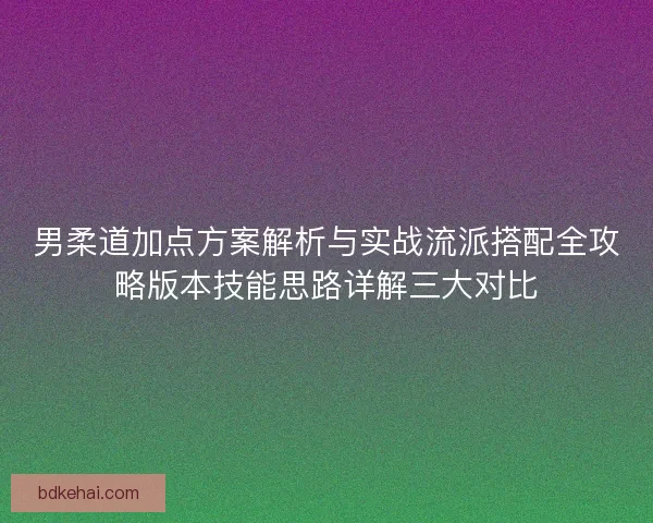 男柔道加点方案解析与实战流派搭配全攻略版本技能思路详解三大对比