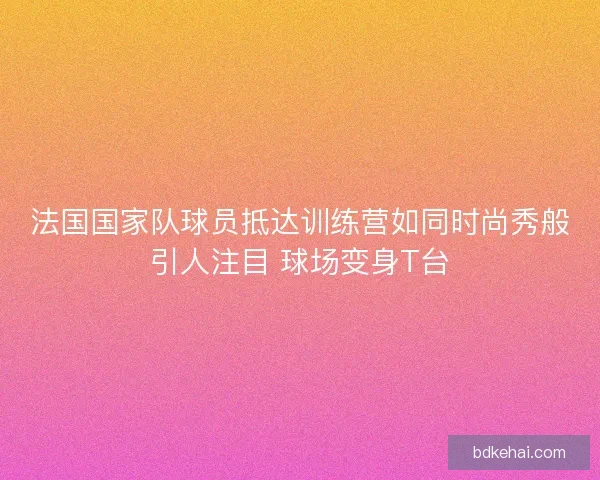 法国国家队球员抵达训练营如同时尚秀般引人注目 球场变身T台
